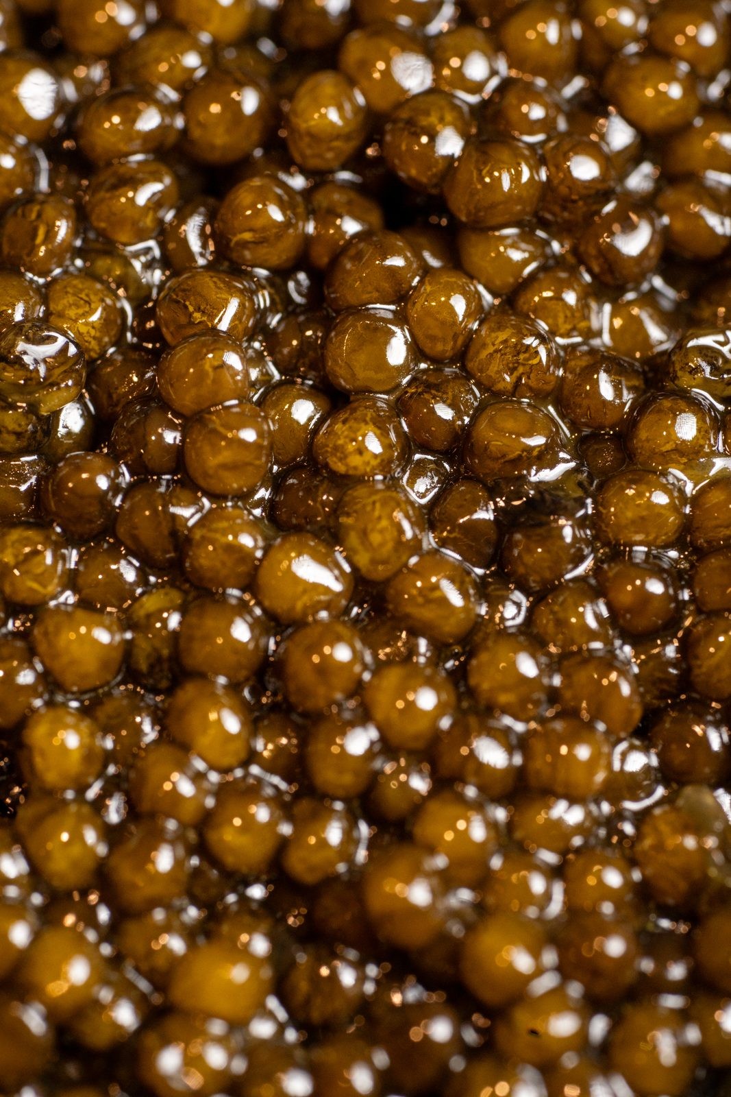 Grains de caviar Baeri, gros plan