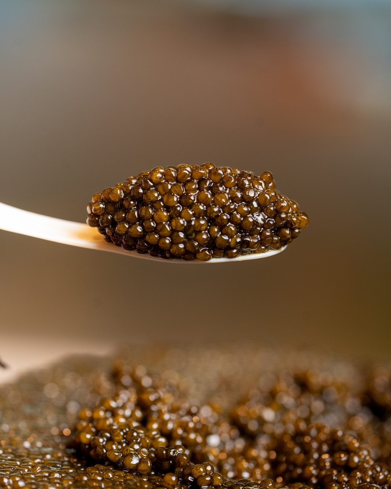 Caviar Baeri à la cuillère en nacre