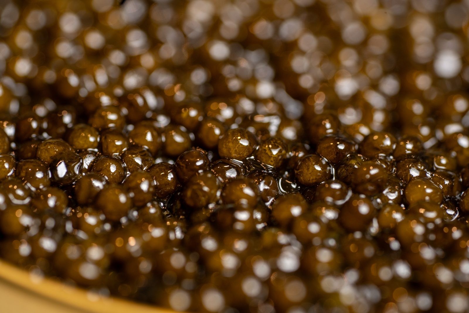 Grains de caviar Baeri dans la boîte