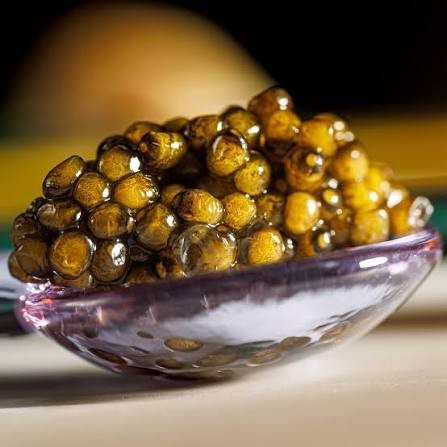 Caviar Schrenki Dauricus en coquille